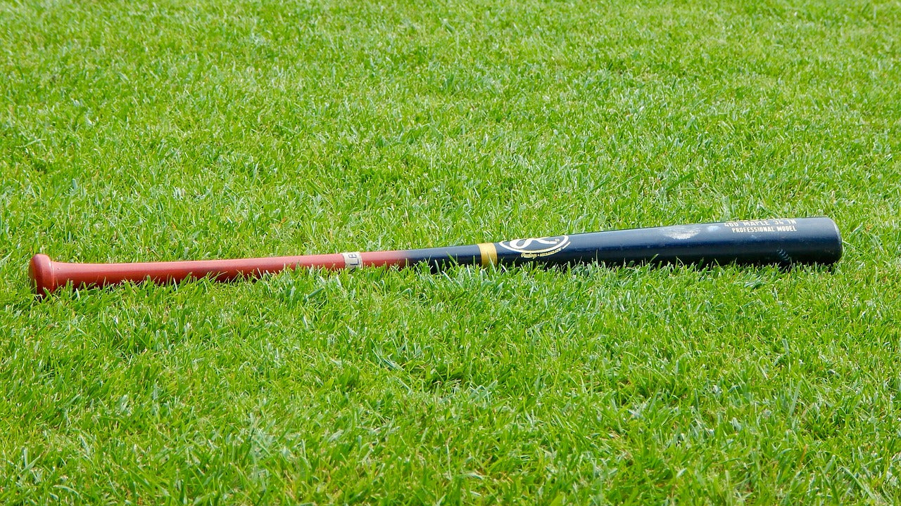The 2025 Baseball Bat Buyer’s Guide: Trends, Tech, and Tournament Highlights