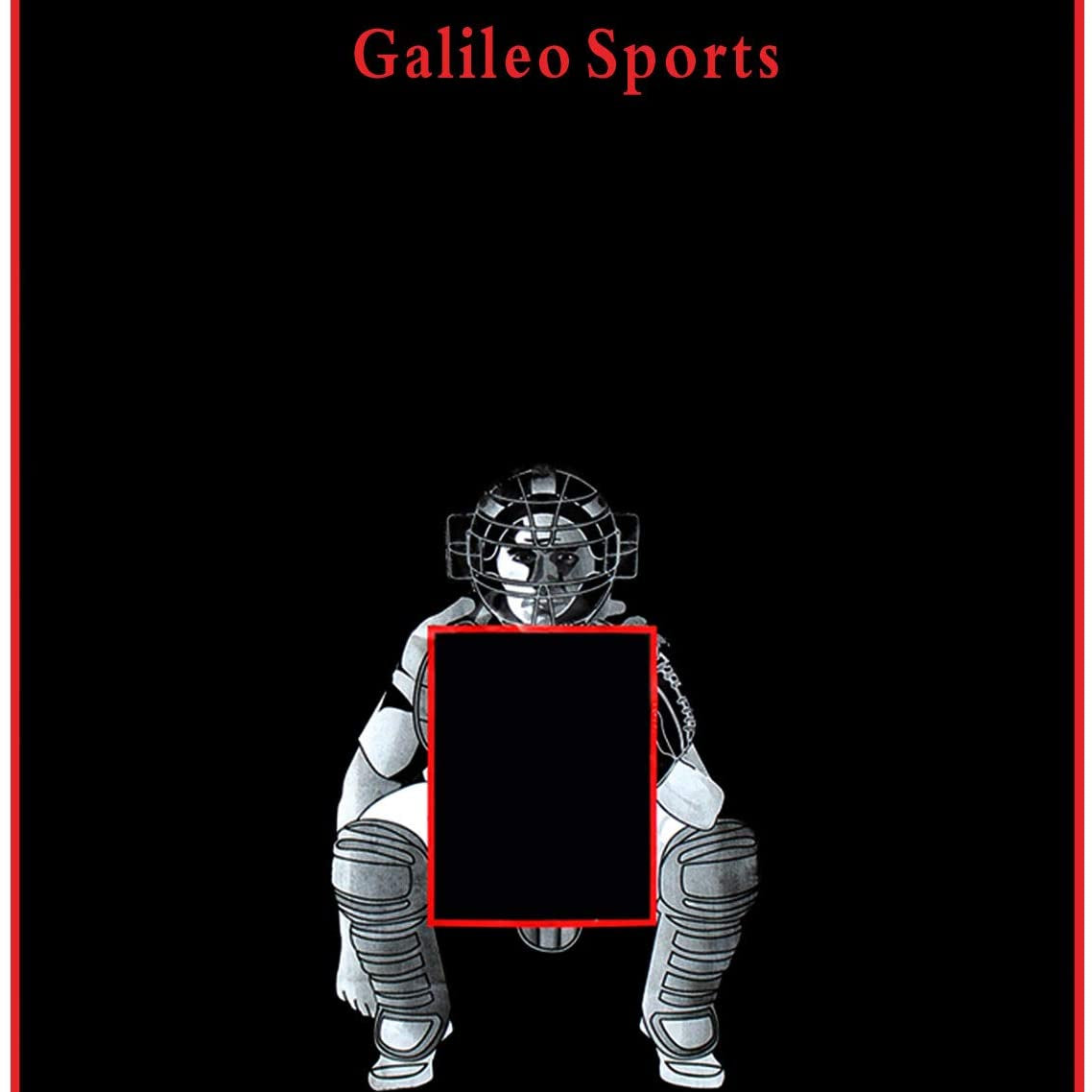 Gagalileo Softball Backstop Viny Target 5X6ft