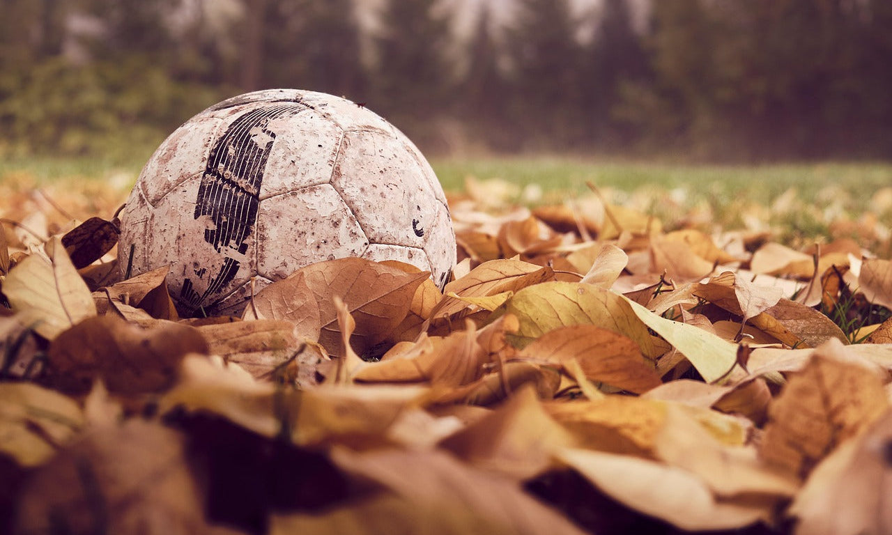 2025 Ryder Cup: Europe Edges Past USA in a Dramatic and Controversial Showdown