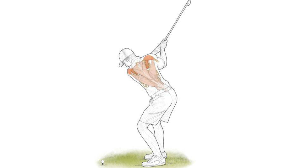 Tiger Woods decrypted：How much pressure is golf swing on the spine?