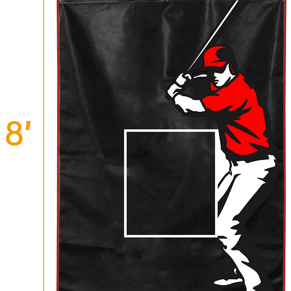 Fastpitch Baseball Backstop